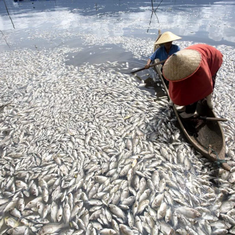 Southeast Asia’s green transition at a tipping point